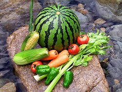 野菜